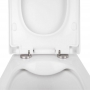Унитаз подвесной Qtap Tern безободковый с сиденьем Slim Soft-close QT1733052ERW